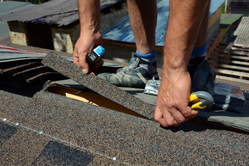 Shingle Repair Process
