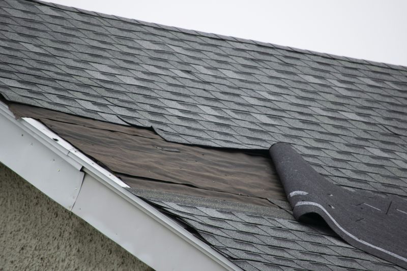 Shingle Repair Work